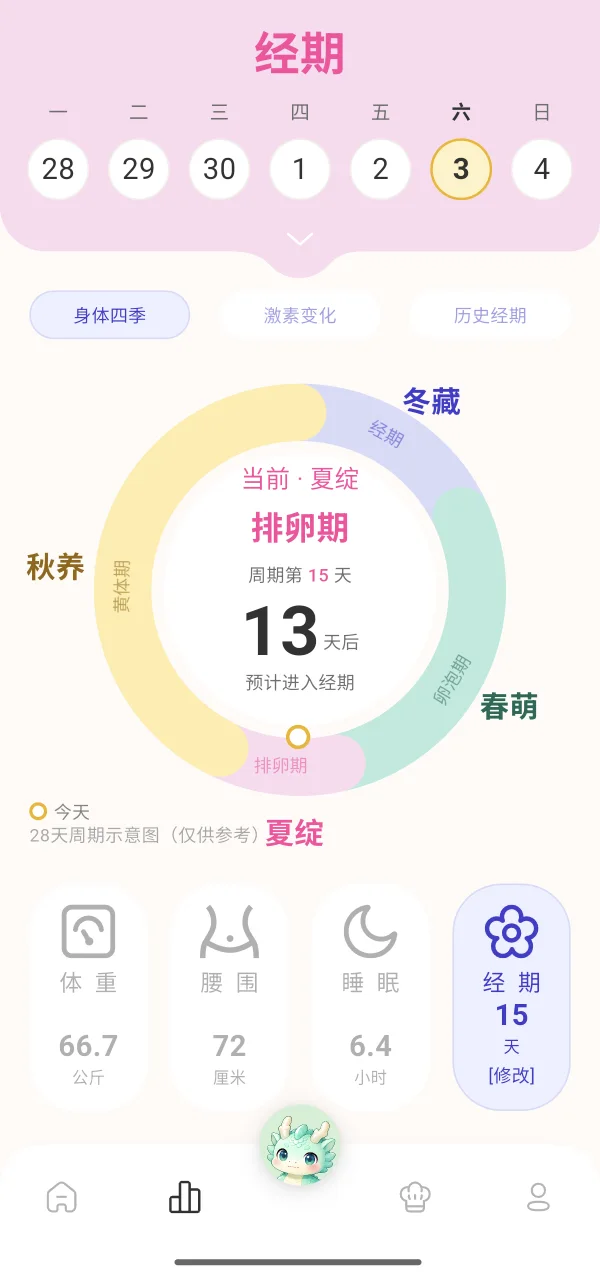 Body seasons ring: current phase and next period